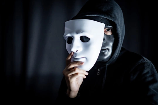 Fake project detection
