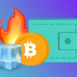 Hot vs Cold Wallet: Which One Actually Keeps Your Crypto Safer?