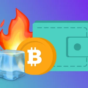 Hot vs Cold Wallet: Which One Actually Keeps Your Crypto Safer?