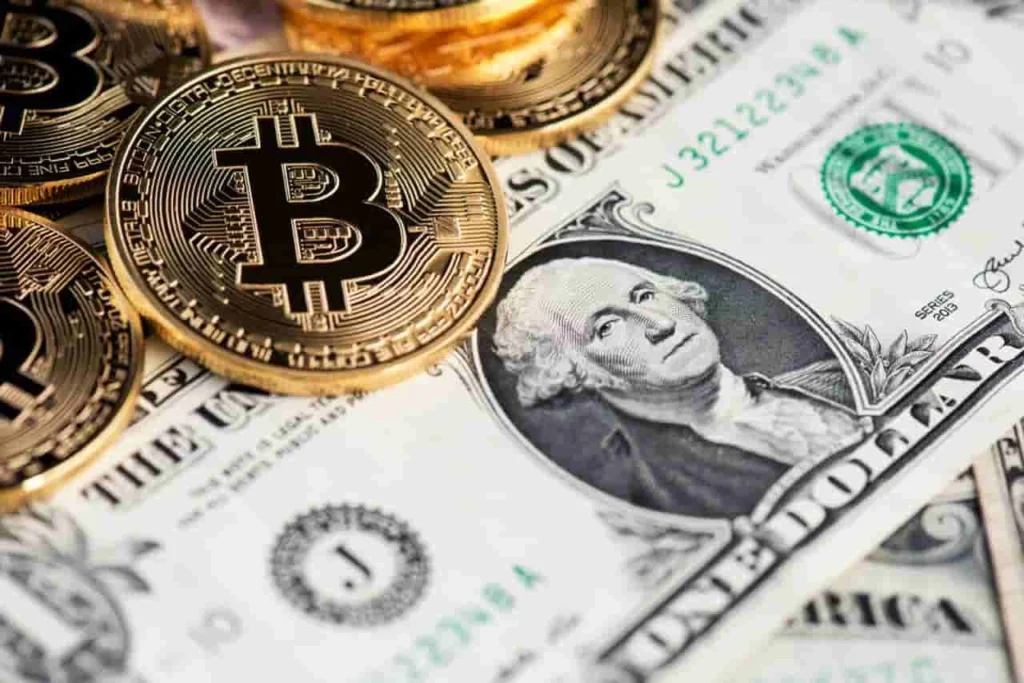 Fiat vs Crypto