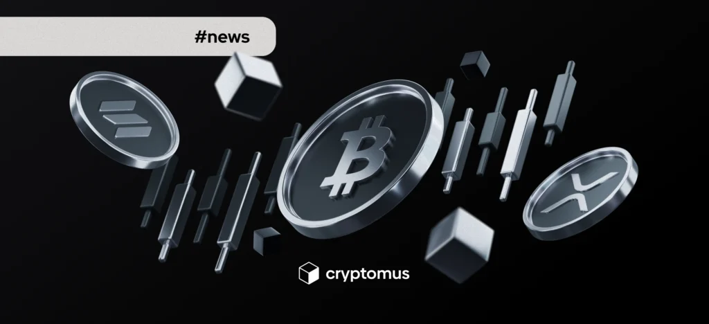 Cryptomus Exchange Review
