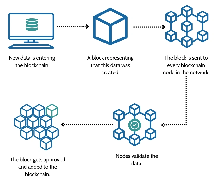 Blockchain Nodes for Beginners