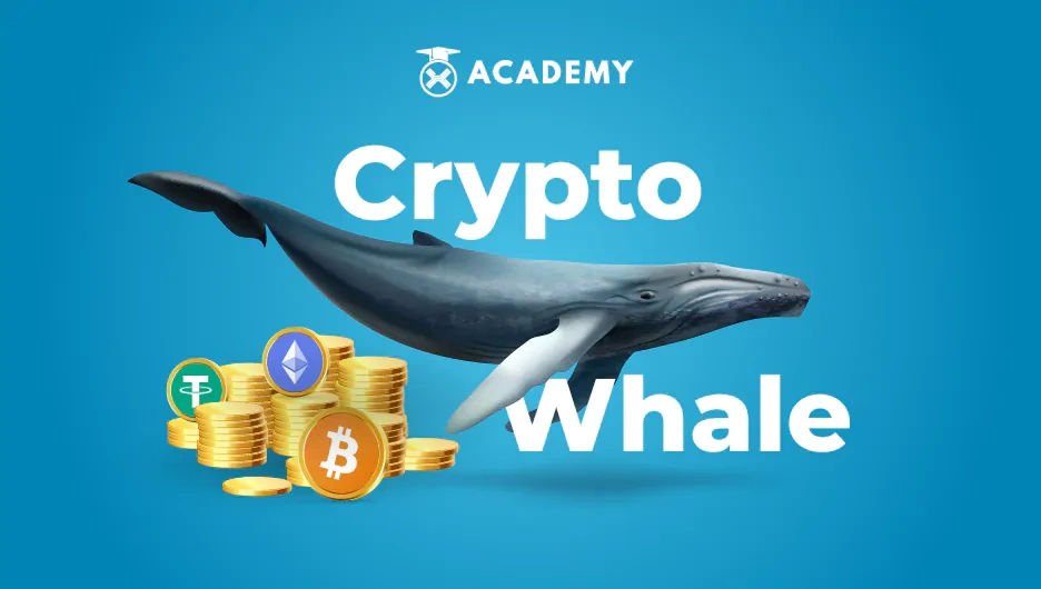 crypto whales explained