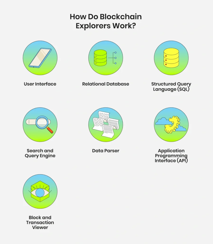 Blockchain Explorers for Beginners