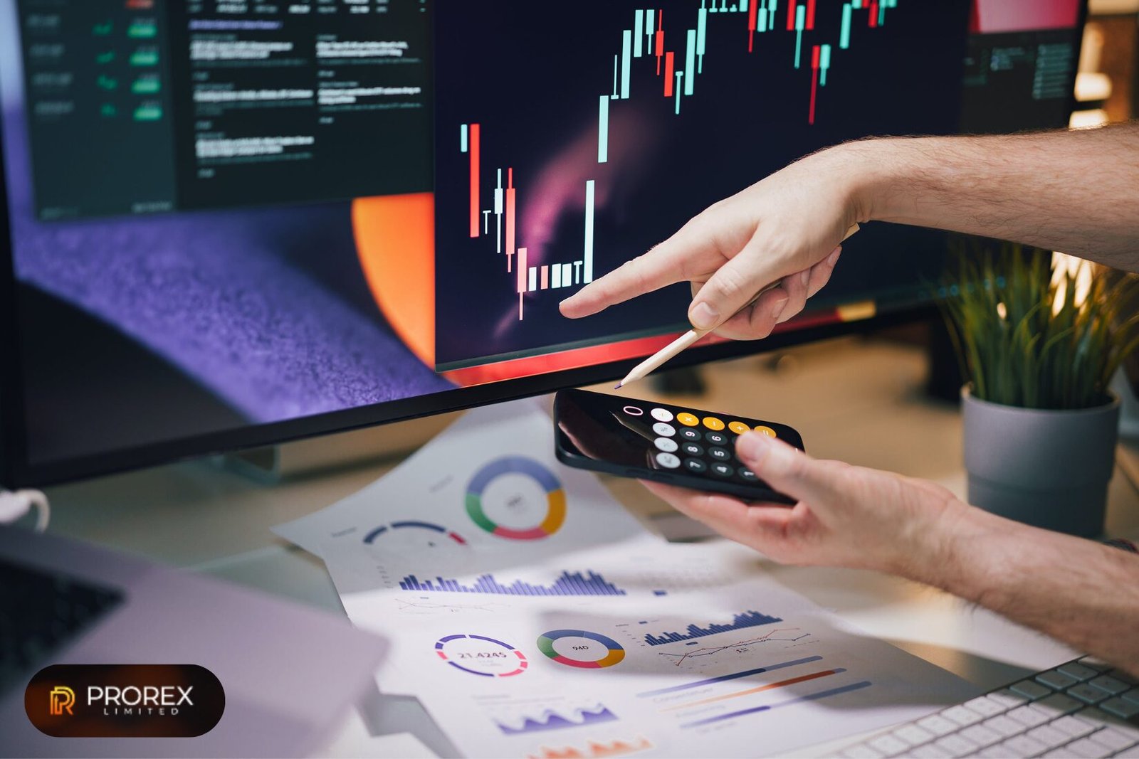 Prorex Investment
